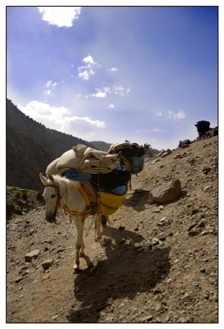 toubkal 193 (Small).jpg